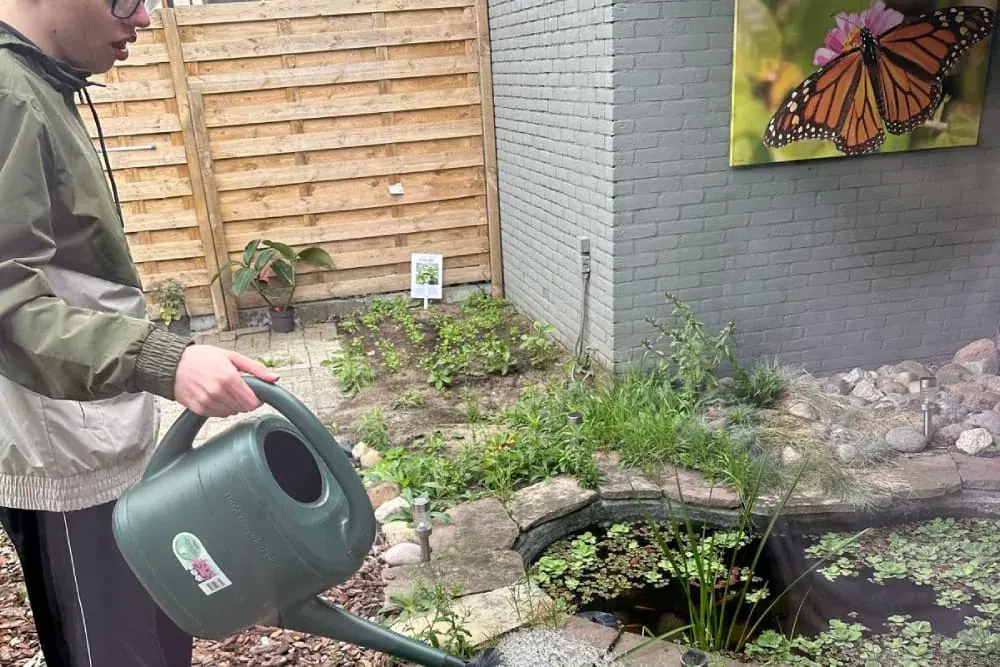 Handen geven de planten bij de vijver water met een gieter.